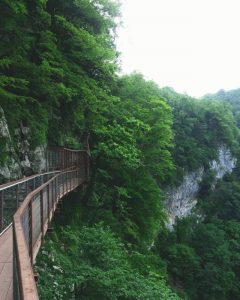 مناظر طبيعية في جورجيا