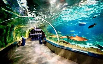 إسطنبول أكواريوم أكبر حديقة للحيوانات المائية