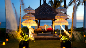 عروض شهل العسل