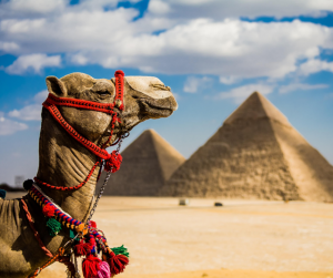 عروض سفر القاهرة