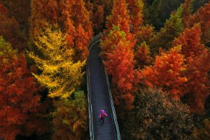 وجهات السفر الخريف